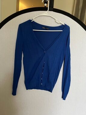 Zara Deep Blue Scoop Neck Top